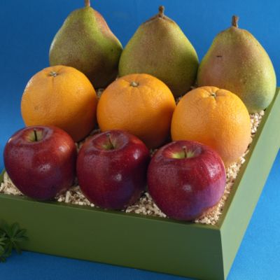 Light Size Triple Treat® Collection