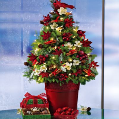 Elegant Woodland Tree &amp; Chocolates
