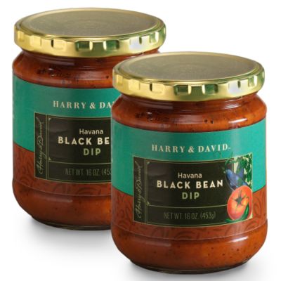 Havana Black Bean Dip