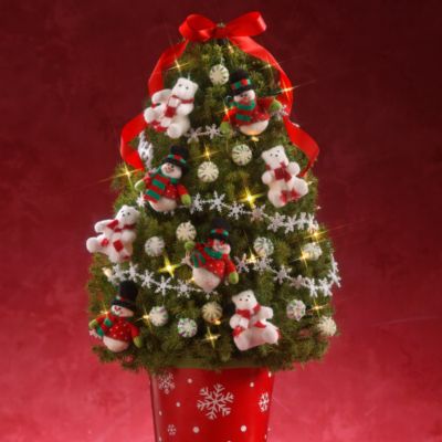 <font color=red>NEW</font> North Pole Spruce
