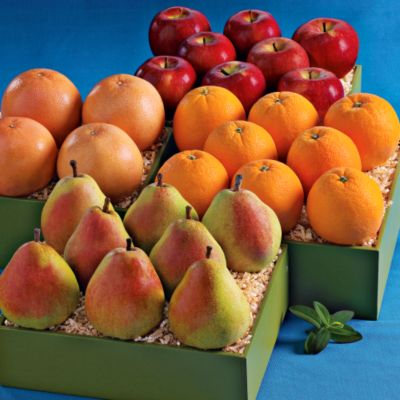 Four Fruit Extravaganza