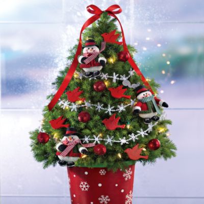 Snowman Spruce