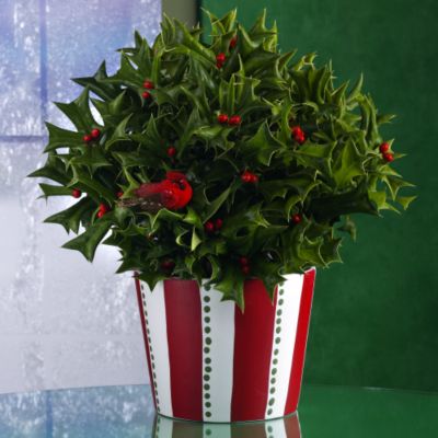 <font color=red>NEW</font> Holiday Holly