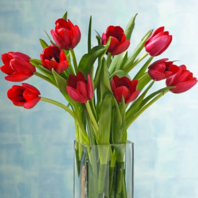 Red Tulip Bouquet