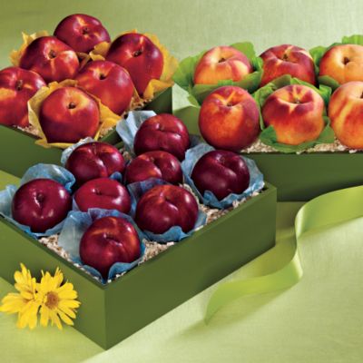 Giant Summer Triple Treat&amp;#174 Collection