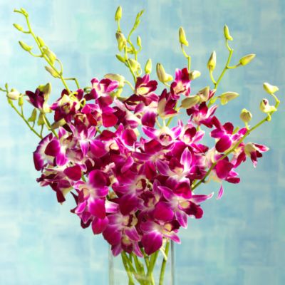 Bombay Orchid Bouquet