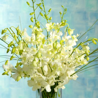 Dendrobium Orchid Bouquet