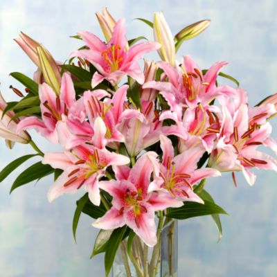 Pink Lily Bouquet