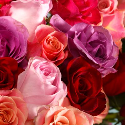 Ultimate Rose Bouquet