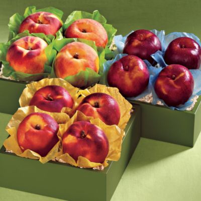Light Size Summer Triple Treat&amp;#174 Collection