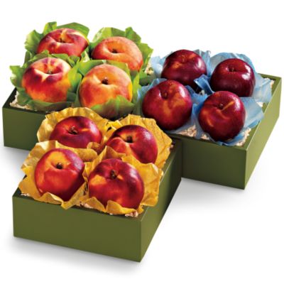 Light Size Summertime Triple Treat® Gourmet Fruit Gift