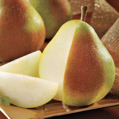 12-Month Presidential Fruit Gift Club (Begins December)
