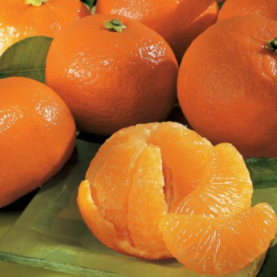 Sweet Clementines Fresh Fruit Gift