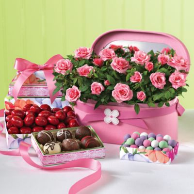 The Case for Confections and Roses Plant Gift