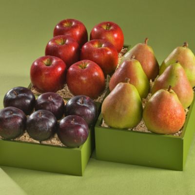 Springtime Triple Treat&#174; Fresh Fruit Gift