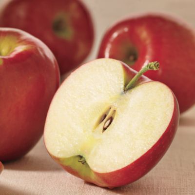 Light Size Honeycrisp Apples, gourmet fruit, fruit holiday gift, organic fruit gift, gourmet fruit gift, fresh fruit gift