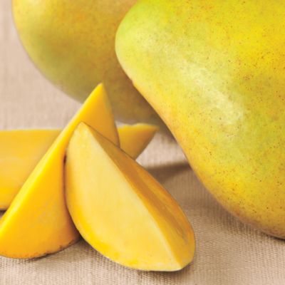 3-Month Signature Fruit-of-the-Month Club® Collection (Begins June)