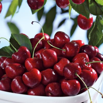 Springtime Cherries Fresh Fruit Gift