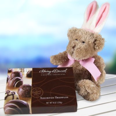 Bunny Bear and Truffles