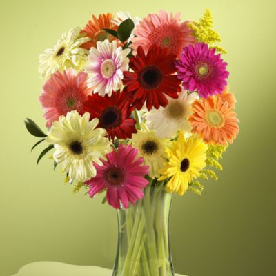 Daisy Dream Bouquet with FREE Vase