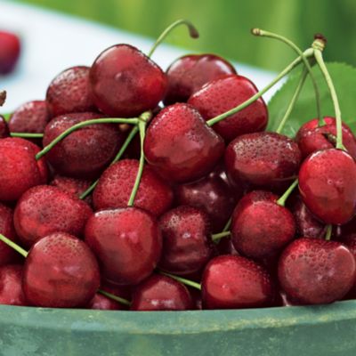 Cherry-Oh!!(tm) Cherries, order fruit, fruit basket, online fruit, gift fruit, fruit delivery