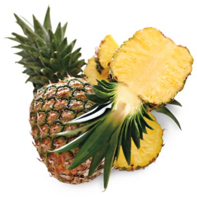 12-Month Signature Fruit-of-the-Month Club® Collection (Begins April)