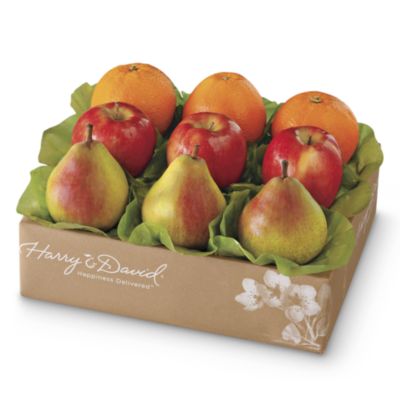 Organic Light Size Triple Treat® Collection