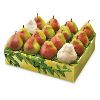 Family Affair Royal Riviera Pears