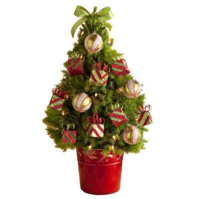 Traditional Christmas Tree