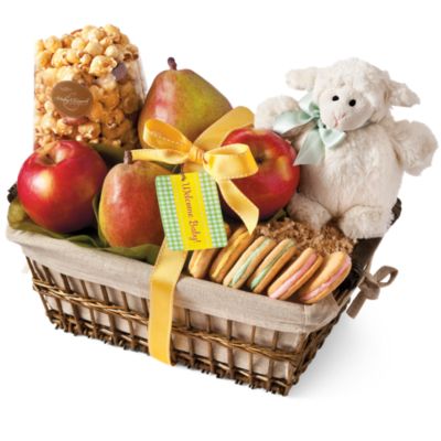 <span style=color:#bb0011>NEW</span> New Baby Gift Basket