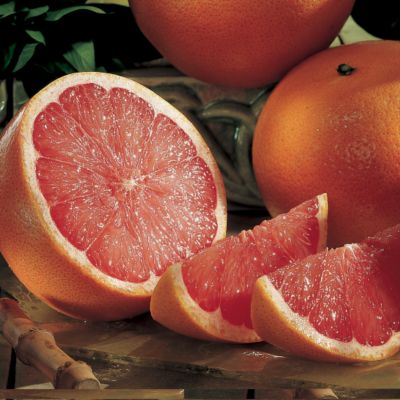 12-Month Organic Fruit-of-the-Month Club® Collection (Begins March)