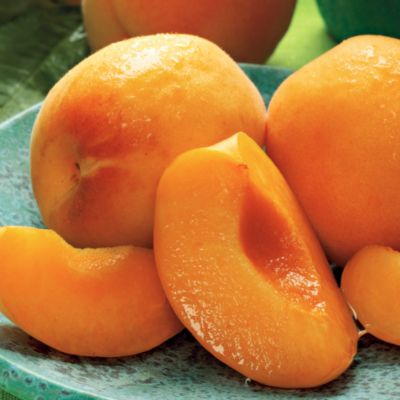 Harry David 12 Month Organic Fruit of the Month Club® Collection Begins June