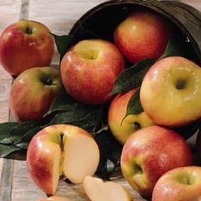 Gravenstein Apples, order fruit, fruit basket, online fruit, gift fruit, fruit delivery