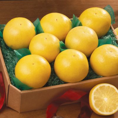 White Grapefruit Fresh Fruit Gift (9 lbs.)