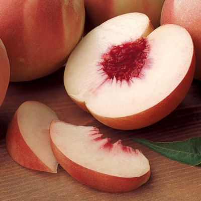 Royal White Peaches