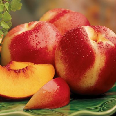 12-Month Presidential Fruit-of-the-Month Club® Collection (Begins March)