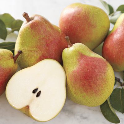 12-month Organic Fruit-of-the-Month Club&amp;#174 Gift (Begins December)