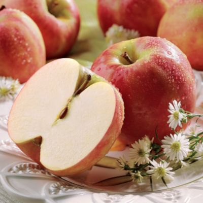 Light Size Royal Blush Apples