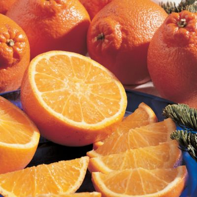 Giant Cushman's HoneyBells - 2011 Delivery, order fruit, fruit basket, online fruit, gift fruit, fruit delivery