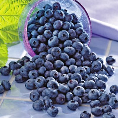Fresh Blueberries, order fruit, fruit basket, online fruit, gift fruit, fruit delivery