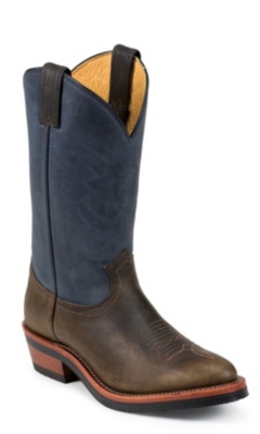 BAY APACHE CRAZYHORSE W/BLUE TOP