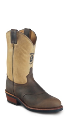 11 GOLDEN APACHE/BAY CRAZY HORSE PACKER