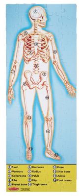 Human Body Floor Puzzle