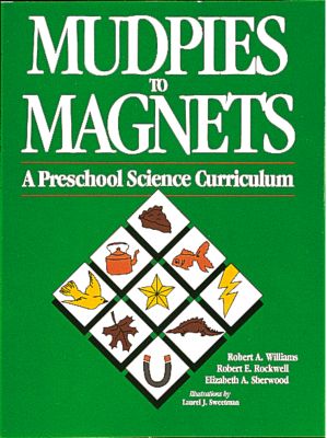Mudpies to Magnets