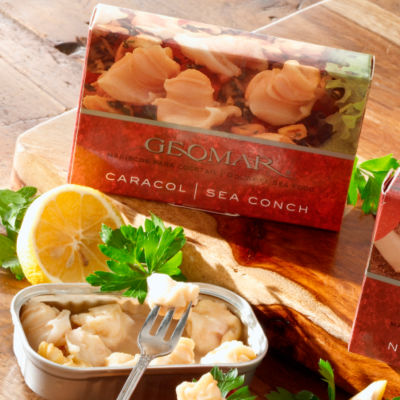 Caracol - Sea Conchs from Chile
