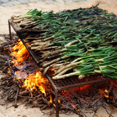 Cal&ccedil;ots Catalan Grilling Onions by Peregrino (1 Dozen)