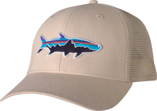 Patagonia Trucker Hat