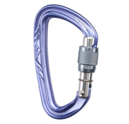 Black Diamond Nitron Screwgate Carabiner