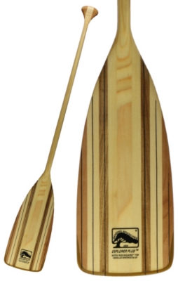 Bending Branches Explorer Plus