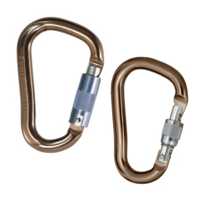 Black Diamond RockLock Carabiner